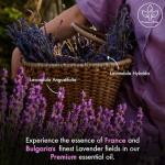 Majestic Pure Lavender Essential Oil - 10 ml