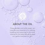 Tisserand Lavender Essential Oil - 100% Pure 20ml