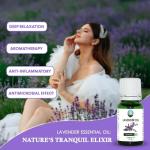 Lavender Essential Oil for Skin and Hair