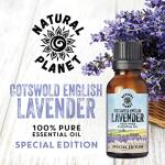 Pure English Lavender Essential Oil - 15ML