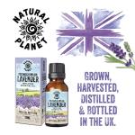 Pure English Lavender Essential Oil - 15ML