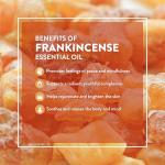 Revura Frankincense Oil for Anti-Aging & Skin