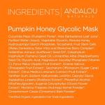 Andalou Pumpkin Honey Glycolic Glow Mask