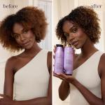 Pureology Hydrate Moisturizing Shampoo for Colour Treated Hair