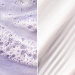 Pureology Prime and Protect Vegan Haircare Trio