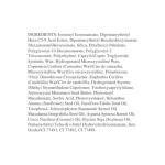 Wet N Wild PhotoFocus Foundation Stick - Your Perfect Shade