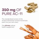 Telomere Length Support Supplement for Anti-Aging