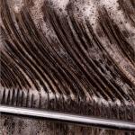 Pureology Hydrate Moisturizing Shampoo for Colour Treated Hair