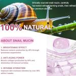Snail Mucin Skincare Set for Youthful Glow