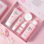 Teen Skincare Gift Set: Cleanser, Toner, Serum