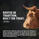 Men's Anti-Aging Beef Tallow Face Balm