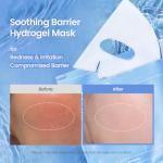 Hydro Cera-nol Deep Moisture Hydrogel Mask Set