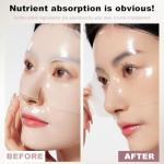 Overnight Bio Collagen Face Mask - 8 Pack