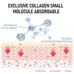 Bio Collagen Overnight Face Mask Bundle for Youthful Skin