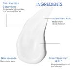 Daily Dual Moisturizer SPF 10 for All Skin Types