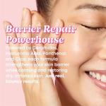 TONYMOLY Wonder Ceramide Mochi Toner - Hydrating K-Beauty