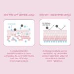 TONYMOLY Wonder Ceramide Mochi Toner - Hydrating K-Beauty