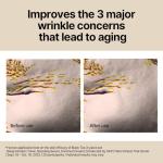 Pyunkang Yul Black Tea Anti-Aging Gift Set