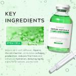 Stem Cell Serum for Smoother, Younger Skin