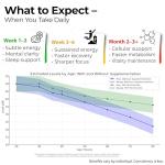 Bearactive NAD+ Vegan Capsules for Energy and Anti-Aging