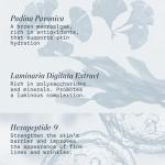 Elemis Pro-Collagen Night Cream for Wrinkles 50ml