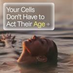 Organic Resveratrol Capsules for Anti-Aging Support