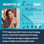 NAD+ Booster Capsules for Anti-Aging Energy