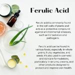 Ferulic Acid Powder - Boost Your Skincare Routine