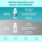 Liposomal Glutathione Liquid for Anti-Aging Boost