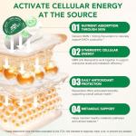 NAD Patches: Anti-Aging, Vegan, Cellular Repair