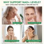 NAD Patches: Anti-Aging, Vegan, Cellular Repair