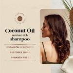Oliology Coconut Oil Shampoo for Healthy Hair