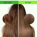 Pure Moringa Seed Oil for Skin and Hair