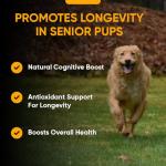 iHeartDogs Super 7 Anti-Aging Dog Multivitamin