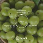 Khadi Amla Volume Ayurvedic Shampoo for Healthy Hair