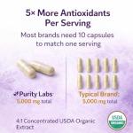 Vegan Trans-Resveratrol Anti-Aging Supplement - 90 Caps