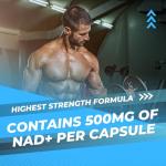 NAD+ 500mg Capsules for Energy and Anti-Aging