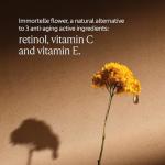 L'OCCITANE Immortelle Divine Anti-Aging Cream 50ml