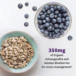 Garden of Life Probiotics for Mood and Wellness