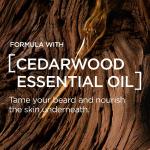 L'Oreal Men Expert Short Beard & Face Moisturiser