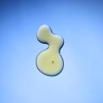 Neal's Yard Rosehip Oil – Nourishing Face Oil, 25ml