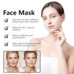 Overnight Bio Collagen Mask for Youthful Skin