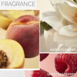 Strength Cure Conditioner for Damaged Color-Treated Hair