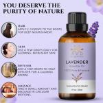 AVD Organics 100% Pure Lavender Essential Oil 30ml