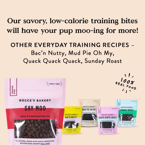 Poodle-friendly Wheat-Free Beef Cheddar Training Treats, 6 oz