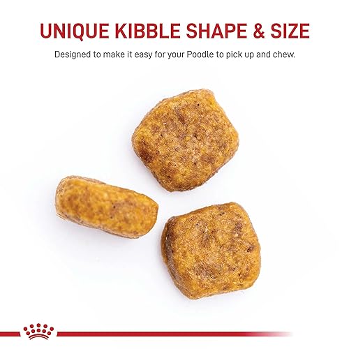 Royal Canin Adult Poodle Dog Food, 2.5 lb