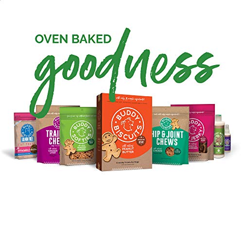 Chicken Buddy Biscuits Training Bites - 10 oz