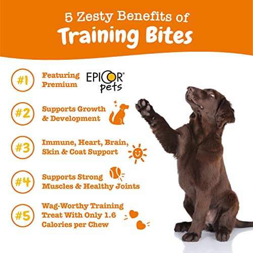 Poodle Dog Training Treats - Hip, Joint & Muscle Support
