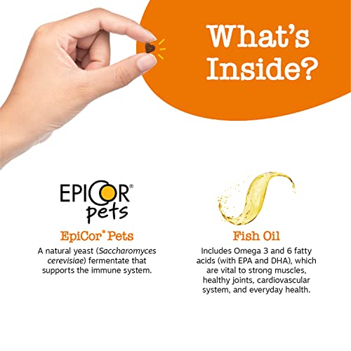 Poodle Dog Training Treats - Hip, Joint & Muscle Support