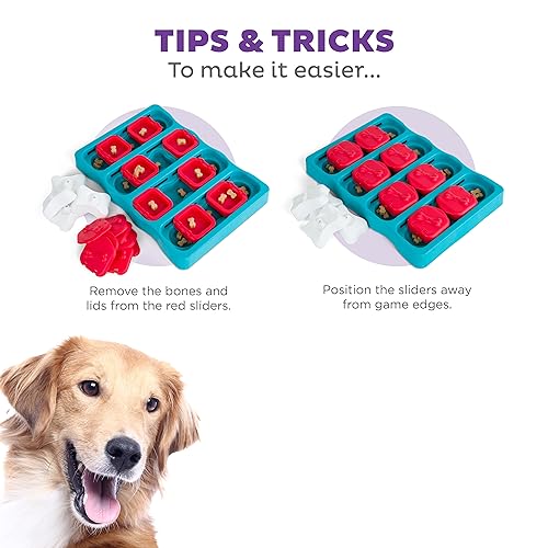Poodle Dog Brick Interactive Treat Puzzle, Intermediate